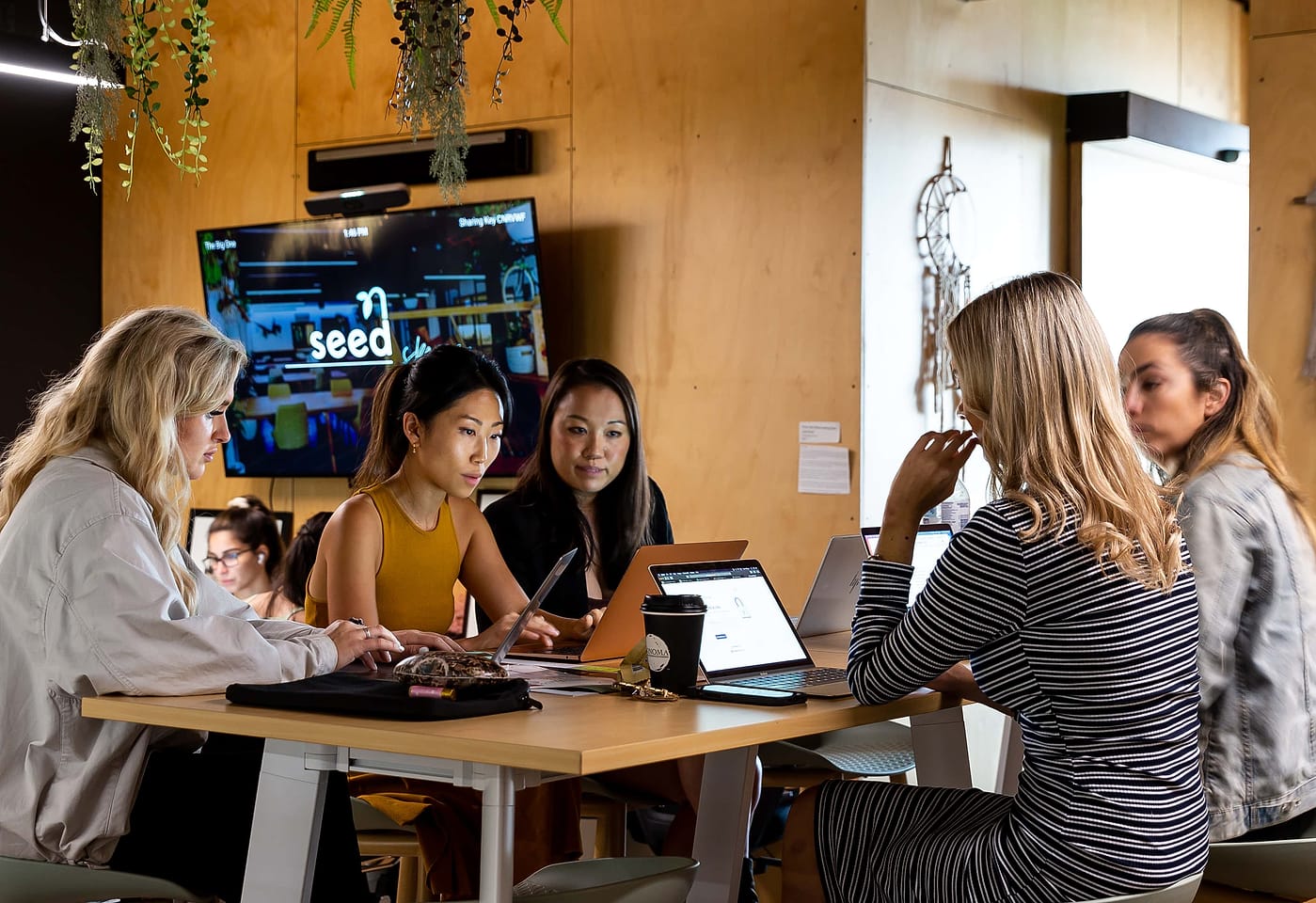 Seed Spaces | The Main Space | Venue Hire Sydney | 3