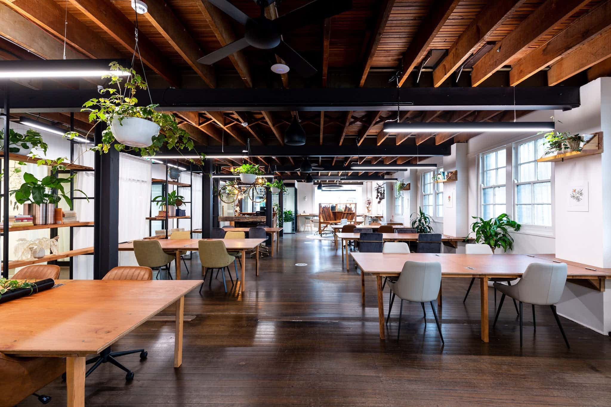 Seed Spaces | The Main Space | Venue Hire Sydney | 1 