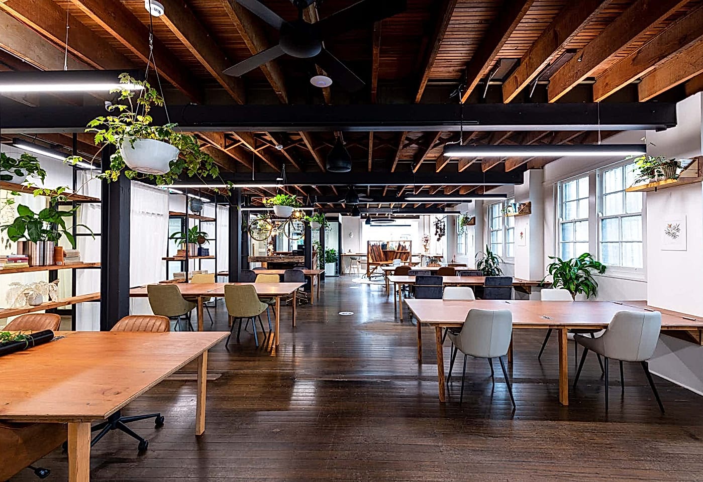 Seed Spaces | The Main Space | Venue Hire Sydney | 1