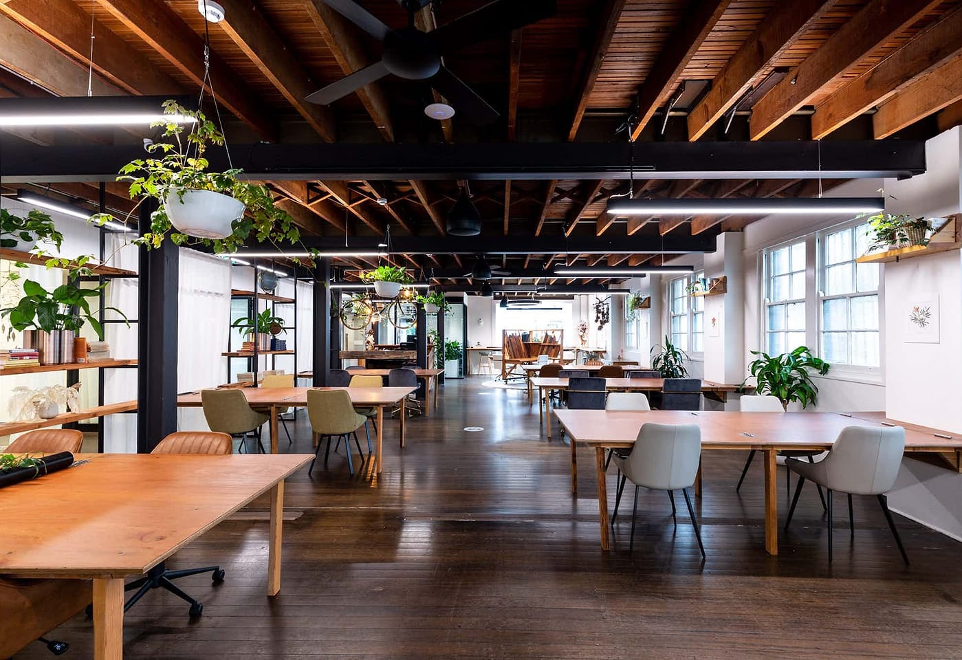 Seed Spaces | The Main Space | Venue Hire Sydney | 1