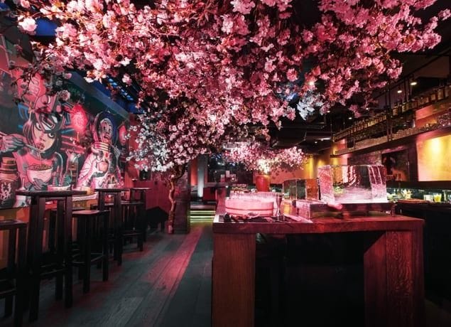 A sushi fan's dream: Shochu Lounge image 2