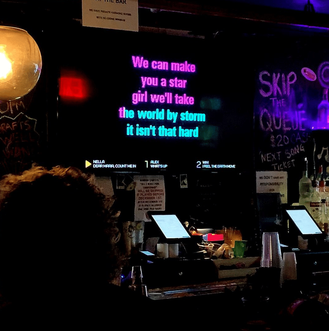 It's your time to shine at this East Village karaoke bar: Sing Sing Avenue A image 3