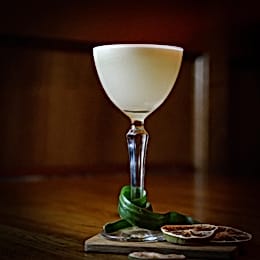 the library bristol secret bar