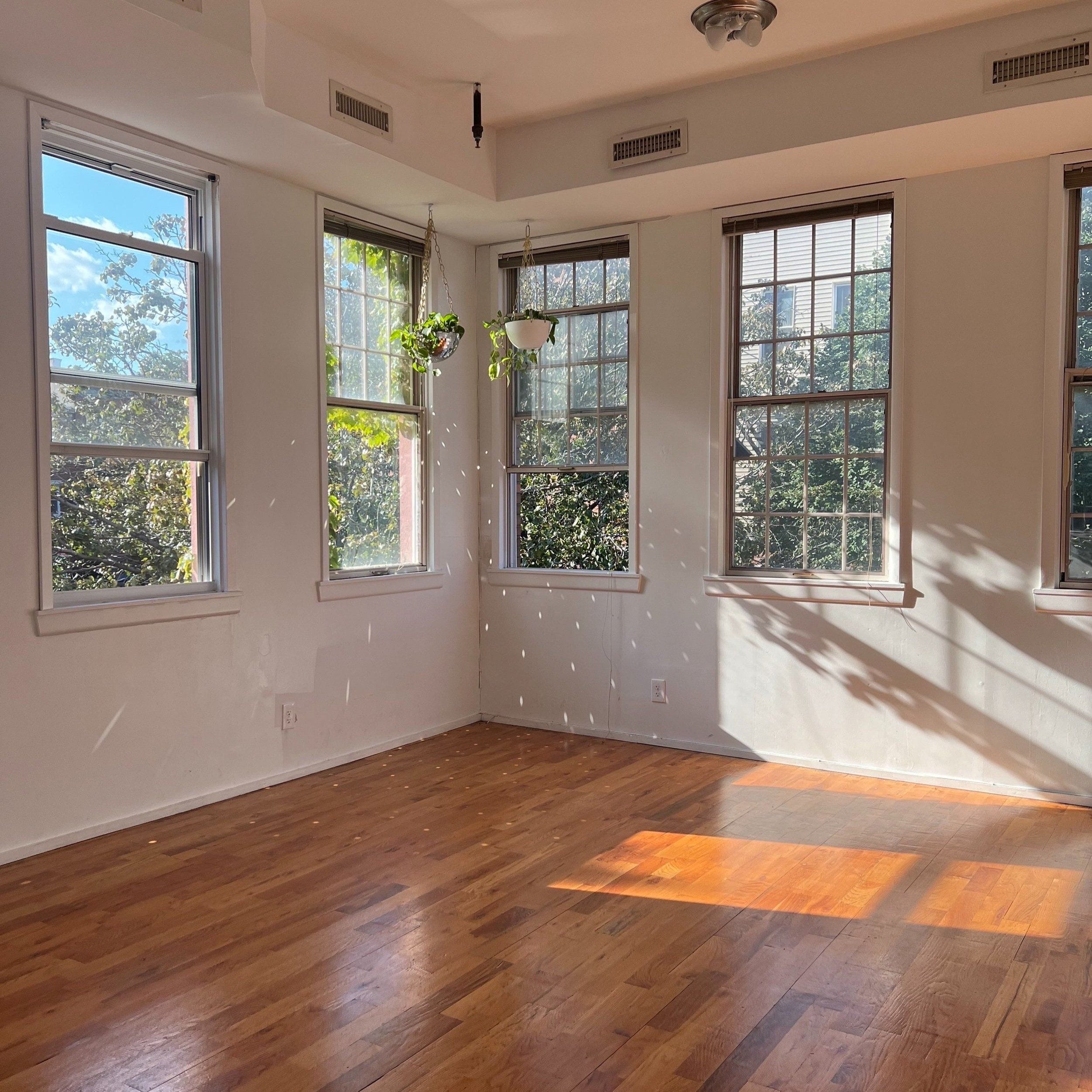 Three warm dance studios and a theatre to rent in Greenpoint: Trisk image 2