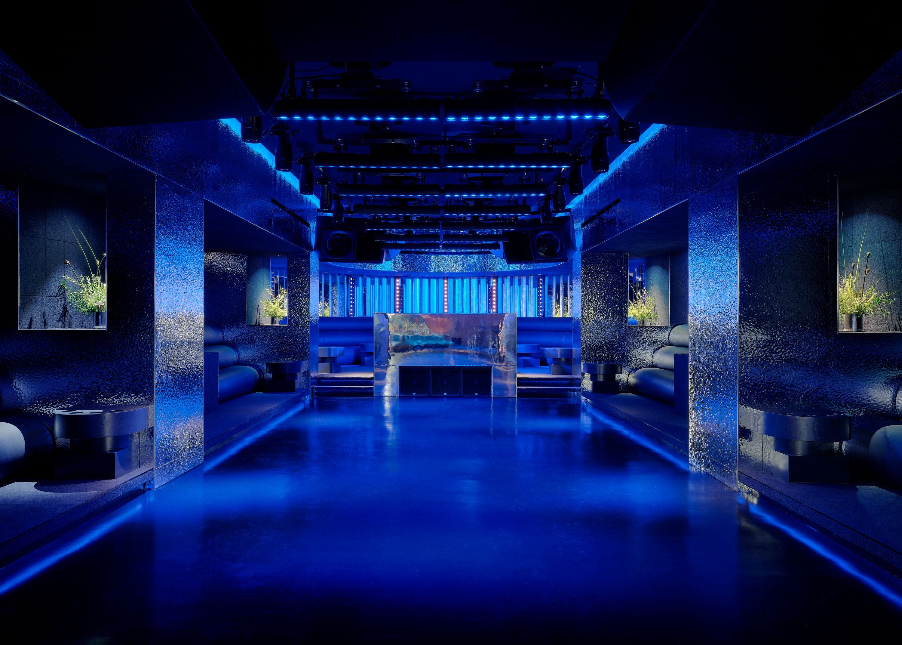 Dance the holidays away: Unveiled Brooklyn image 3