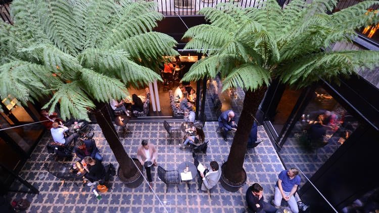 A botanical Fitzrovia cocktail bar: Waeska image 3